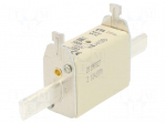 Fuse: fuse | gG | 100A | 500VAC | ceramic,industrial | NH1C | WT-NH