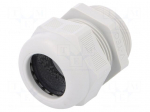Cable gland | with thread PG | PG29 | IP68 | Mat: polyamide