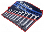 Wrench-set | combination spanner | 10pcs.