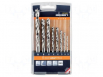 Drill set | for wood | steel | blister | PROFI HOLZ | wood,chipboard