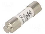 Fuse: fuse | 2A | 600VAC | 600VDC | quick blow | cylindrical,industrial