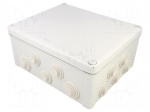 Enclosure: junction box | X: 245mm | Y: 295mm | Z: 125mm | wall mount