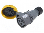 Connector: AC supply 3-phase | plug | female | 16A | 130V | IP&S | IP67