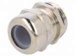 Cable gland | PG48 | IP68 | brass | SKINTOP&reg; | SKINTOP&reg; MSR