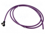 Cable: for sensors/automation | M12 | PIN: 5 | shielded,straight | 2m