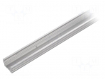 Profiles for LED modules | surface | natural | L: 2m | aluminium