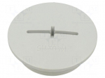 -20&divide;80&deg;C | Accessories: stopper | Thread: M40x1,5 | Enclos.mat: ABS
