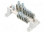 Splice terminal: distribution block | screw terminal | ways: 1