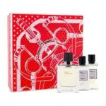 Terre D&acute;Hermes SET EDT 50 ml + Shower Gel 40 ml + Aftershave Water 40 ml