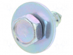 Screw | 10pcs | OEM: 07119916967,1470997,311826143 | L: 16.8mm | steel