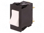 Circuit breaker | Urated: 240VAC | 60VDC | 10A | DPST | Poles: 2 | 35g