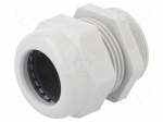 Cable gland | with thread PG | PG36 | IP68 | Mat: polyamide