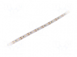 LED tape | white neutral | 3528 | 12V | LED/m: 120 | 10mm | IP20 | 9.6W/m