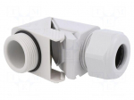 Cable gland | angular | PG21 | IP68 | polyamide | grey | HSK-W