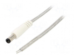 Cable | 2x0.5mm2 | wires,DC 5,5/2,5 plug | straight | transparent