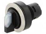Switch: rotary | 22mm | Stabl.pos: 1 | depending on the holder | IP65