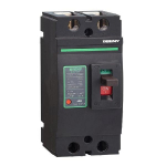 DC Circuit Breaker - 2P, 250A, 500VDC