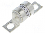 Fuse: fuse | 25A | 250VAC | aR | ceramic,cylindrical,industrial