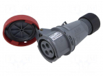 Connector: AC supply 3-phase | plug | female | 16A | 415VAC | 415V | IP&S