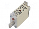 Fuse: fuse | 35A | 500VAC | 250VDC | gG | ceramic,industrial | NH000