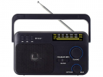 Audio- ja HiFi-s&uuml;steemid // Radio , Muud heliseadmed // Radio FM TRACER GTX100