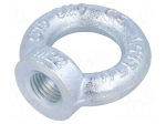 Lifting eye nut | eye | M22 | steel | Plating: zinc | DIN: 582 | 50mm