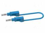 Test lead | 36A | banana plug 4mm,both sides | Urated: 600V | blue