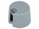 Knob | with pointer | plastic | &Oslash;shaft: 4mm | &Oslash;20x16mm | grey