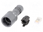 Connector: RJ45 | plug | shielded | push-pull | Buccaneer 6000 | IDC