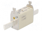 Fuse: fuse | gG | 160A | 500VAC | ceramic,industrial | NH1C | WT-NH