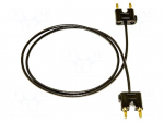 Test lead | 3mm banana plug-3mm banana plug | double | Urated: 1kV