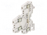 Splice terminal: rail | Entrelec | 300V | for DIN rail mounting