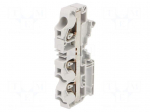 Splice terminal: rail | Entrelec | 1kV | for DIN rail mounting | grey