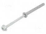 Plastic anchor | with screw | 10x100 | zinc-plated steel | SXRL-FUS