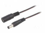 Cable | 2x0.35mm2 | DC 5,5/2,1 plug,DC 5,5/2,1 socket | straight