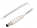 Cable | 2x0.5mm2 | wires,DC 5,5/2,5 plug | straight | transparent | 2m