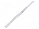 Ruler | L: 0.6m | Width: 30mm | Class: I