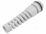 Cable gland | M25 | IP68 | polyamide | light grey | SKINTOP&reg;