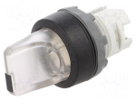 Switch: rotary | Stabl.pos: 2 | 22mm | transparent | Illumin: MLB-1