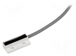Reed switch | Pswitch: 100W | 32x14.9x6.9mm | Connection: lead 2m