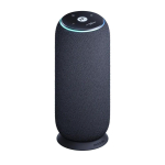 K&otilde;rvaklapid Motorola Moto Sound Flow - Carbon