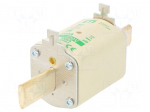 Fuse: fuse | aM | 200A | 690VAC | ceramic,industrial | NH1 | WT-NH