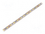 LED tape | white cold | 5050 | 12V | LED/m: 60 | 10mm | IP65 | 14.4W/m