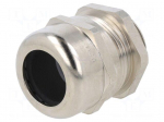 Cable gland | M25 | 1.5 | IP68 | brass | SKINTOP&reg; | SKINTOP&reg; MS-IS-M