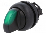 Switch: rotary | 22mm | Stabl.pos: 2 | green | M22-FLED,M22-LED | IP67