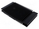Heatsink: extruded | grilled | black | L: 120mm | W: 218mm | H: 37mm