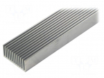 Heatsink: extruded | grilled | natural | L: 1000mm | W: 45mm | H: 22mm