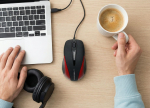 Esperanza EM102R mouse USB Type-A Optical 800 DPI