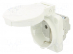 Connector: AC supply | socket | 2P+PE | 250VAC | 16A | white | PIN: 3 | IP54