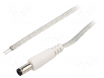 Cable | 2x0.5mm2 | wires,DC 5,5/2,5 plug | straight | transparent | 3m